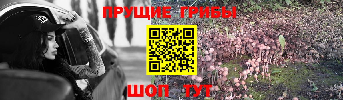 закладка  Галлюциногенные грибы мухоморы  Вход с VPN  Кизилюрт 